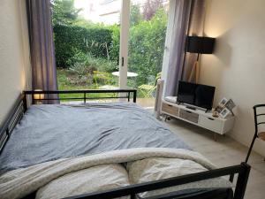 Appartement avec jardin privatif في ألبي: غرفة نوم بسرير وتلفزيون ونافذة
