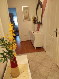 Fotografie z fotogalerie ubytování Apartments and Rooms PUNTA v destinaci Umag