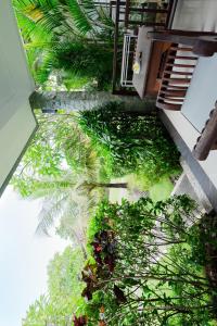 WIRA Homestay & Spa外面的花园
