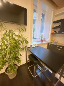 una cocina con mesa negra y algunas plantas en B&B Guest House Du Lac en Montreux