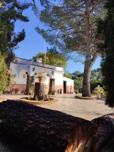 a large white building with trees in front of it at Casa Rural San Antonio in La Puebla de los Infantes