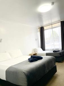 two beds in a hotel room with a window at Avenue Motel in Ballarat