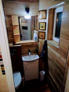 W łazience znajduje się umywalka, toaleta i lustro. w obiekcie Agroturystyka u Cezarego w mieście Liniewo