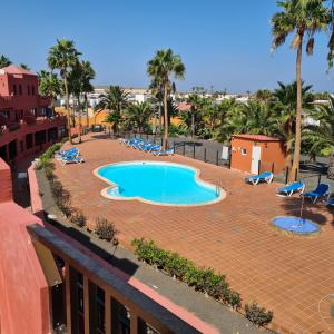 - une vue sur la piscine bordée de chaises et de palmiers dans l'établissement Oasis Royal D311, à Corralejo