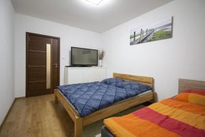 a bedroom with two beds and a flat screen tv at Apartman Adam in Veľký Slavkov