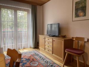 Μια τηλεόραση ή/και κέντρο ψυχαγωγίας στο Apartment Ilishof