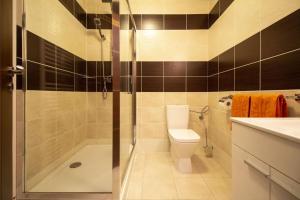 a bathroom with a shower and a toilet and a sink at Apartman Adam in Veľký Slavkov +15 photos