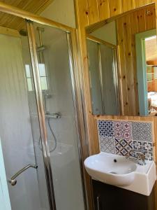 a bathroom with a shower and a sink at Fauld O Wheat Shepherds Hut , Loch Ken ,Off Grid in Castle Douglas