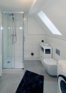 a white bathroom with a shower and a toilet at Zum "Spessarträuber" in Rothenbuch