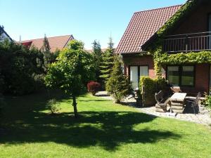 a yard with a tree and a house at Lütt Eddy in Kaltenhof