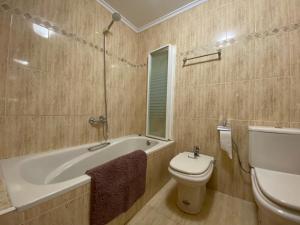 Koupelna v ubytování Apartamento Albelda Centro