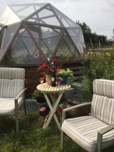 Um jardim no exterior de Tobernaglough Wexford pet friendly country b&b