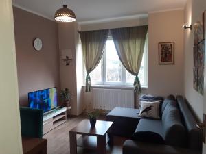 TV a/nebo společenská místnost v ubytování Lep apartman TARA -Kremna