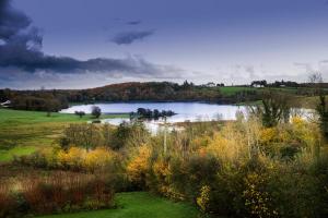 Gallery image of Hawthorn Lodge in Belturbet