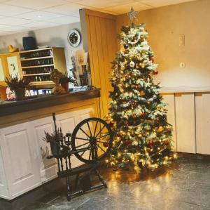Un árbol de Navidad en la esquina de una habitación en Hallingskarvet Fjellstue as en Hovet