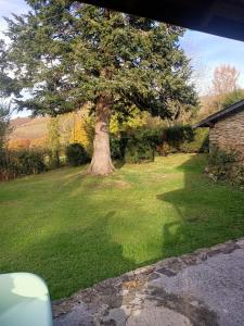 a large tree in the middle of a yard at Gîte de Soulou in Aramits