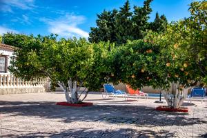 Ogród w obiekcie Villas Guzman Ismael
