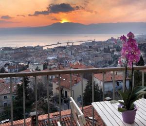a flower in a pot on a balcony with the sunset at Linden Trsat with balcony in Rijeka