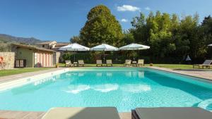 a swimming pool with chairs and umbrellas at Agriturismo I Bonsi in Reggello