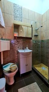 Un baño con inodoro, lavabo y ducha. en River Residence, en Timisoara