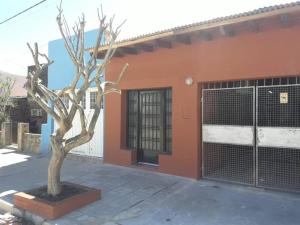 a tree sitting in front of a building at Depto La Cuni in Goya