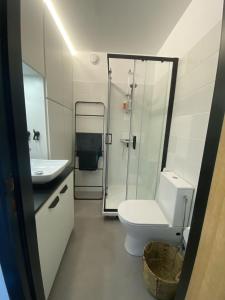 a bathroom with a shower and a toilet and a sink at Prachtig Zeezicht Westcorner in Middelkerke