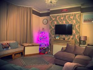 a living room with a christmas tree and a tv at DEVON BEACH STATION in Paignton