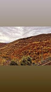 Fotografija v galeriji nastanitve CHALET LAVANDA San Giacomo di roburent v mestu San Giacomo