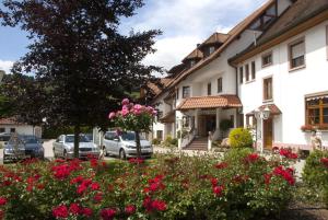 Zahrada ubytování Hotel-Restaurant Hirsch