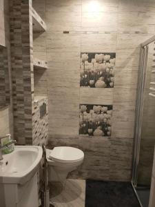 a bathroom with a toilet and a sink at Wałcz nad jeziorem in Wałcz