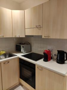 a kitchen with a sink and a microwave on a counter at Doss della Pesa Apartment - CIPAT 22114 in Marilleva