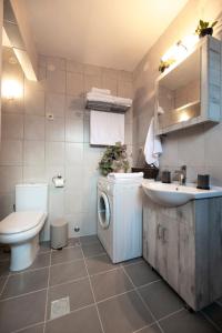 StoneVillaMouzaki Luxury Mansion في موزاكيون: حمام مع غسالة ومغسلة