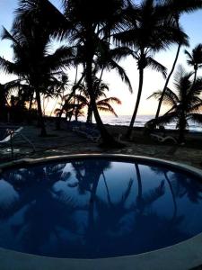 Bassein majutusasutuses Modern, Welcoming Studio, Ocean View in Juan Dolio või selle lähedal