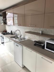 Кухня или мини-кухня в Karia Plus City Apartments
