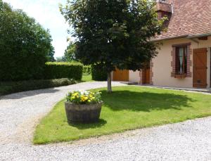 a tree and a barrel with flowers in front of a house at Les Baillis in Villegenon