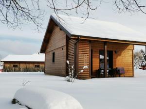 ein Blockhaus im Schnee mit einem Hof in der Unterkunft Gîte Lesseux, 3 pièces, 5 personnes - FR-1-589-300 in Lesseux