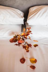 a bunch of dead leaves on a bed at Encanto Agriturismo & Private SPA in Visogliano