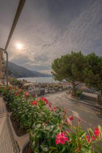 a row of flowers on a balcony overlooking a street at Affittacamere Da Flo in Monterosso al Mare