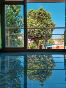 una ventana con un reflejo de un árbol en el agua en Auslyn Guest House, en Bogmalo