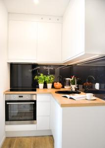 Kuchyňa alebo kuchynka v ubytovaní Mogilska Tauron Arena Two Bedroom Apartment