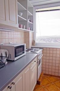 Kuchyňa alebo kuchynka v ubytovaní Panorama View Apartment