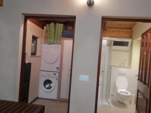 Un baño con lavadora y un inodoro. en Casa Ladonja, en Poreč 20 fotos más