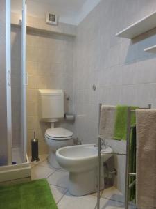a bathroom with a toilet and a shower with green towels at Alloggio turistico Maison S Anselme VDA Aosta CIR 0015 in Aosta