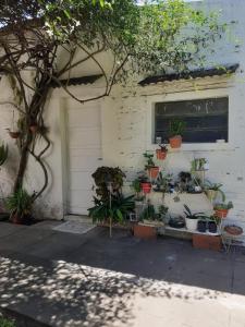 uma casa com um monte de vasos de plantas ao lado de uma porta em Departamento Satí em Goya