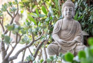 Giardino di Smart-HOTEL MINUSIO, a Swiss Quality Hotel