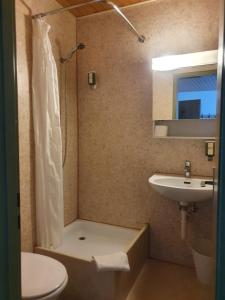 W łazience znajduje się prysznic, umywalka i toaleta. w obiekcie Downtown Apartment 9 w mieście Interlaken