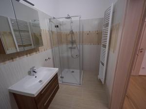 Vannituba majutusasutuses Bioweingut Schmidl