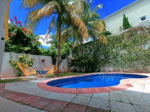 - une piscine avec 2 chaises et un palmier dans l'établissement BEAUTIFUL & COZY NEAR BEACH Apartment Pool & KingSize Bed, à Cancún