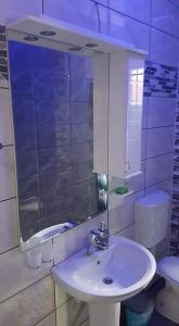 La salle de bains est pourvue d'un lavabo, de toilettes et d'un miroir. dans l'établissement Apartman Ivanović 6, à Sokobanja