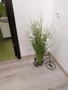 Fotografie z fotogalerie ubytování Apartament Denisa v destinaci Oršava